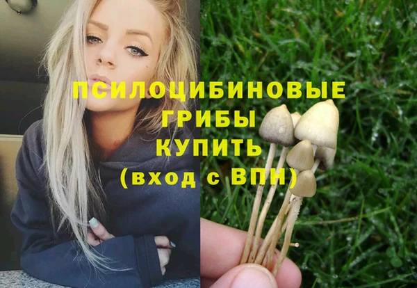 прущий лед Володарск