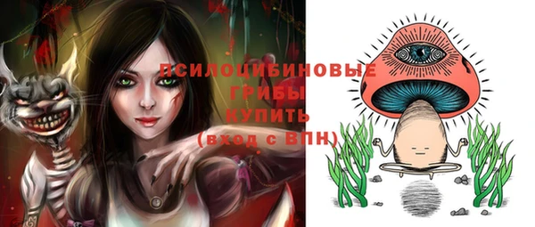 прущий лед Володарск