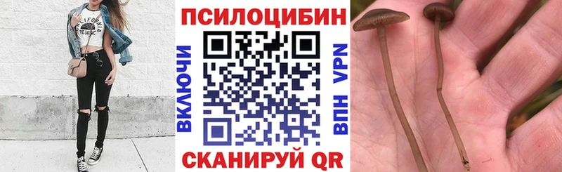 Псилоцибиновые грибы Magic Shrooms  Купить  Россошь 